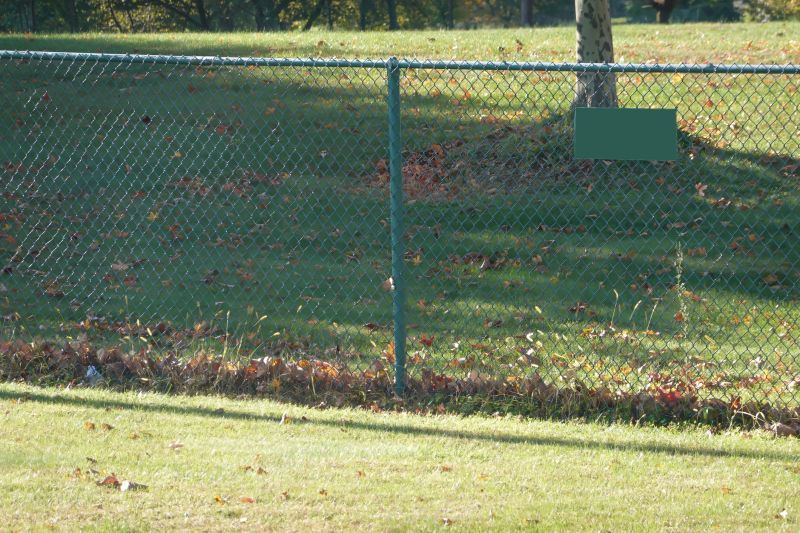 Chain Link Fence Service